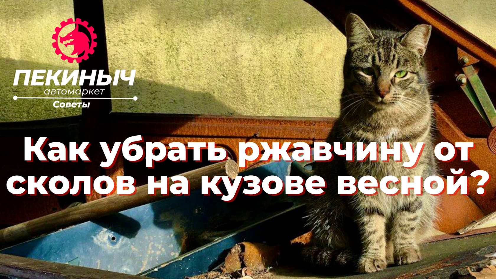 ржавчина авто кот