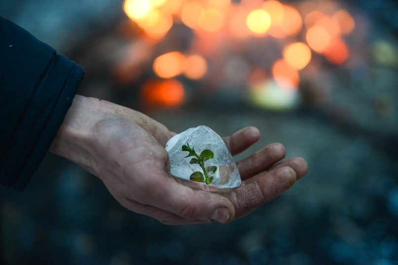 Ваби Саби. Что это?