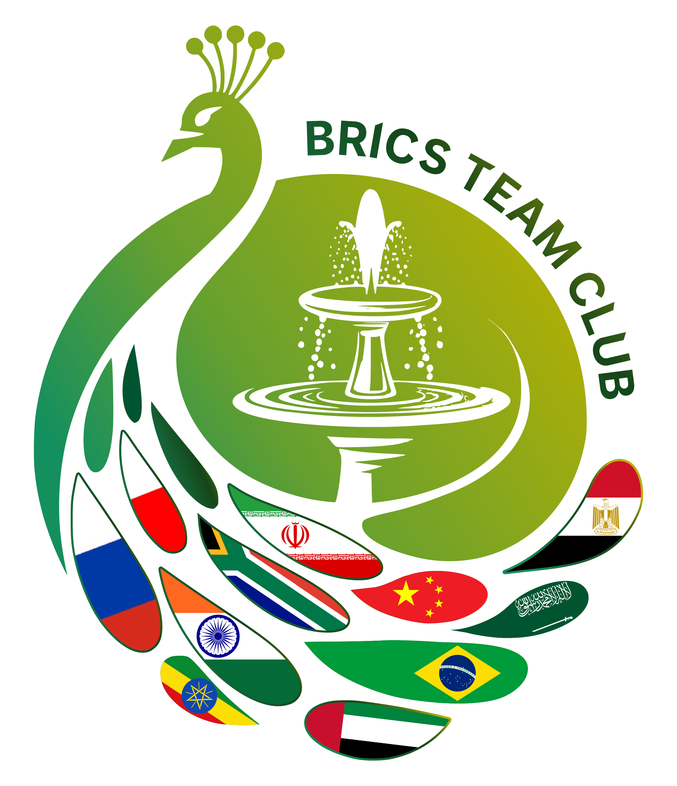 BRICS TEAM CLUB