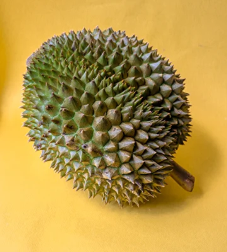 Дуриан купить в Тюмени с доставкой в Интернет магазине Фрутнам