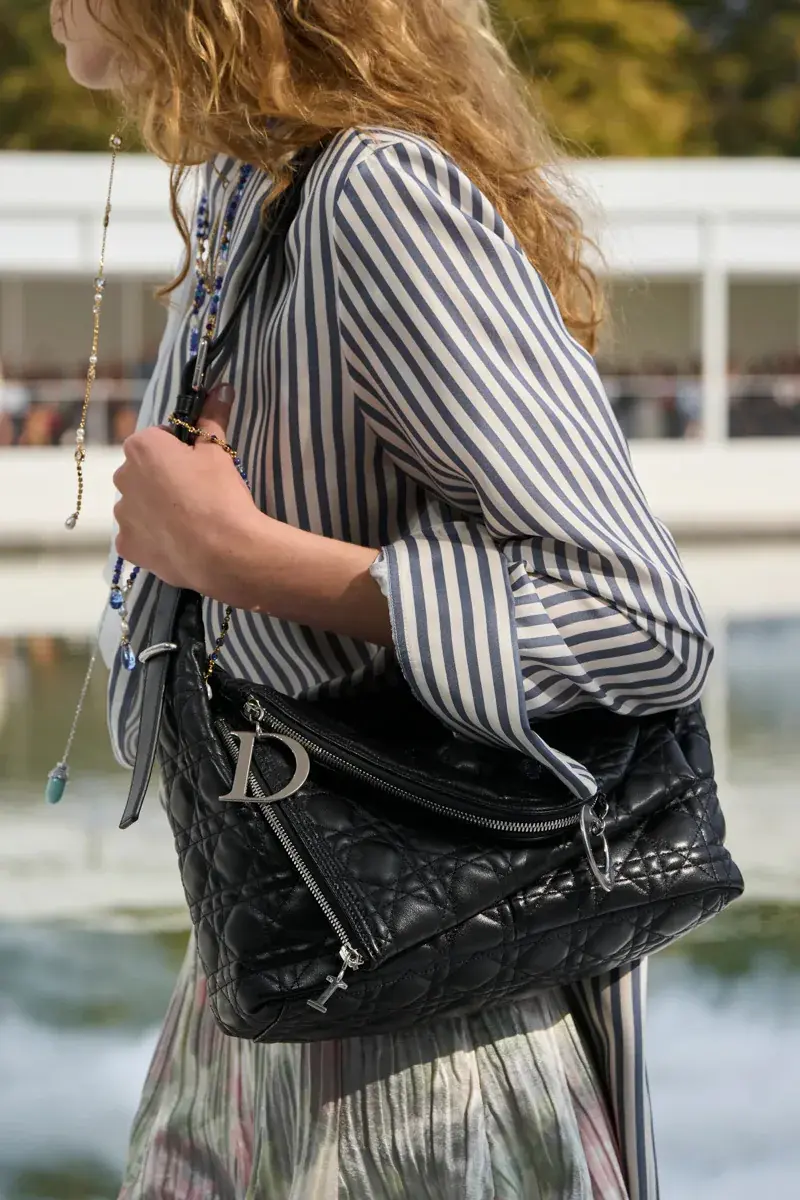 Сумки Dior Spring 2027 6