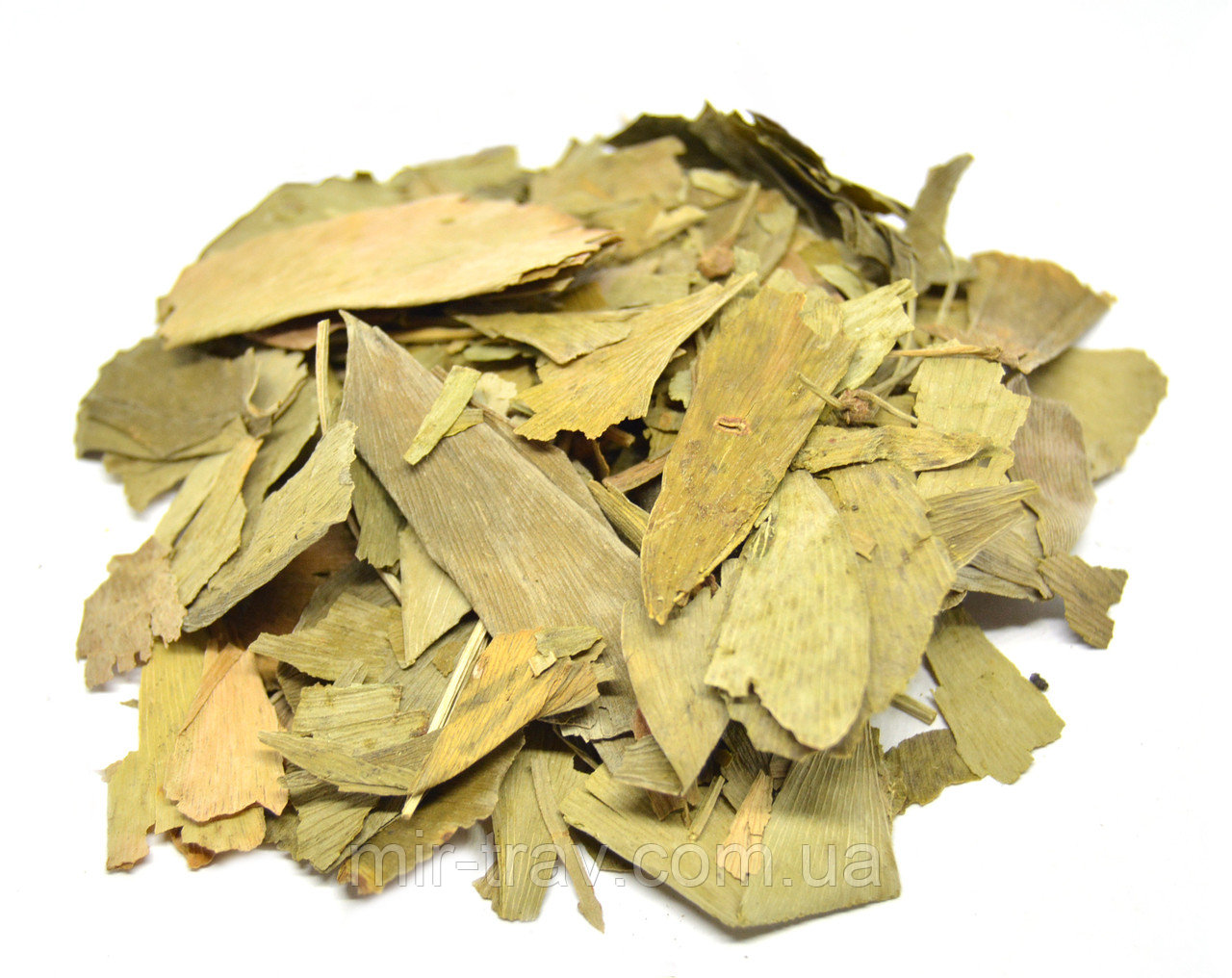 Трава Гинкго Билоба Лечебные Свойства Цена – Telegraph