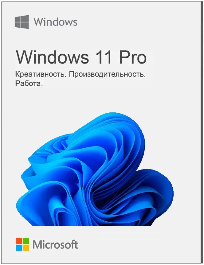 Microsoft Windows 11 Professional
