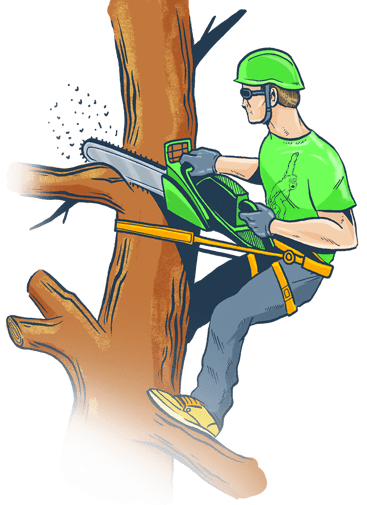 Удаление дерева по частям с завешиванием, альпинист спиливает аварийные ветви на высоте