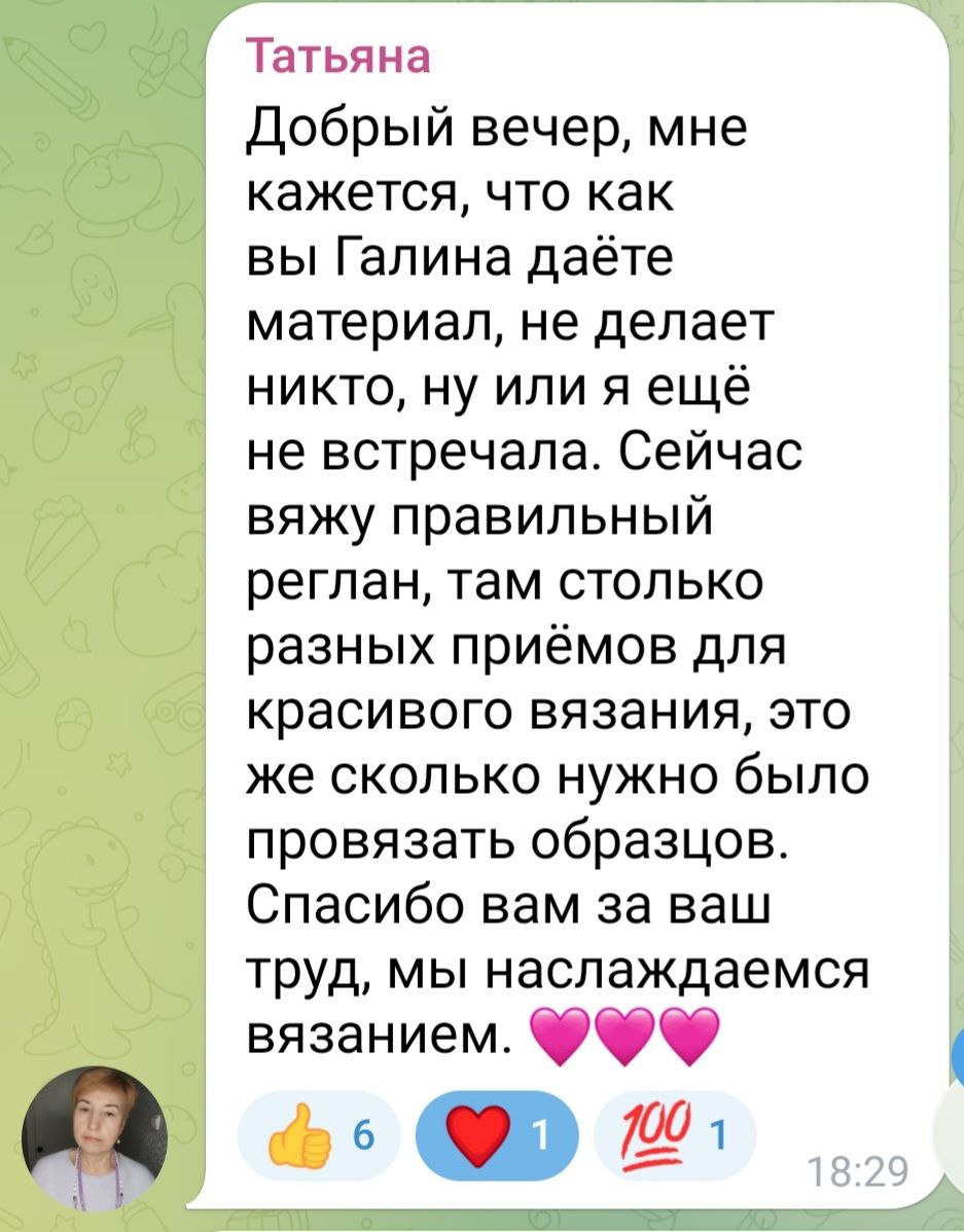 Работа ученицы по МК Поло-реглан 7