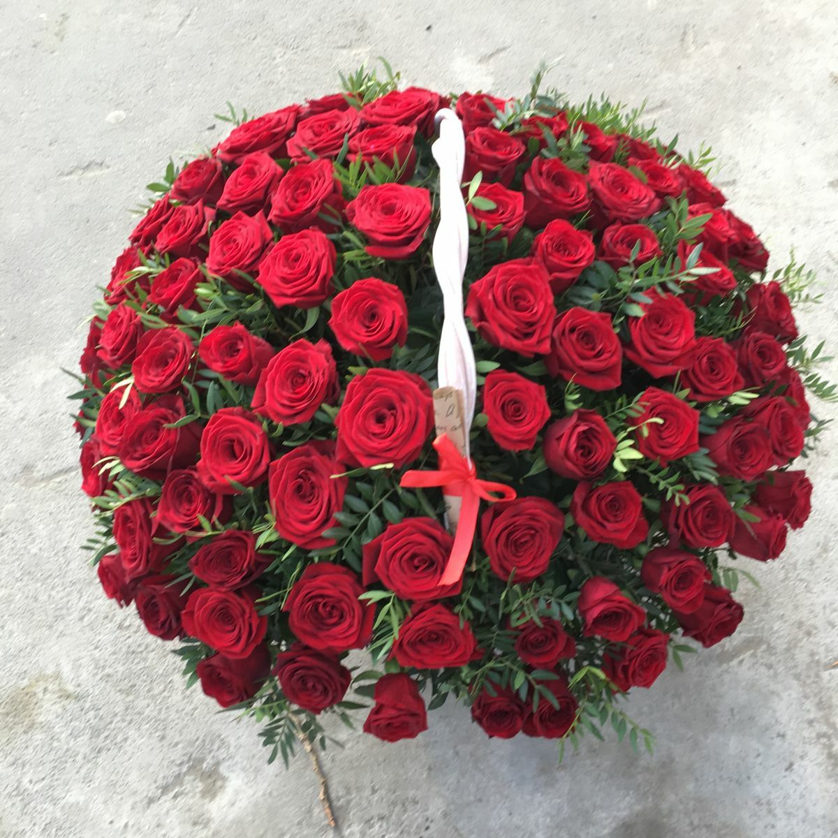 Розы энгельс