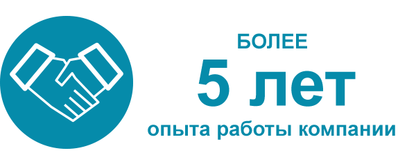 Компания более. Значок более 10 лет на рынке. Более 5 лет на рынке иконка. Значки 5 лет работы. Более 5 лет на рынке.