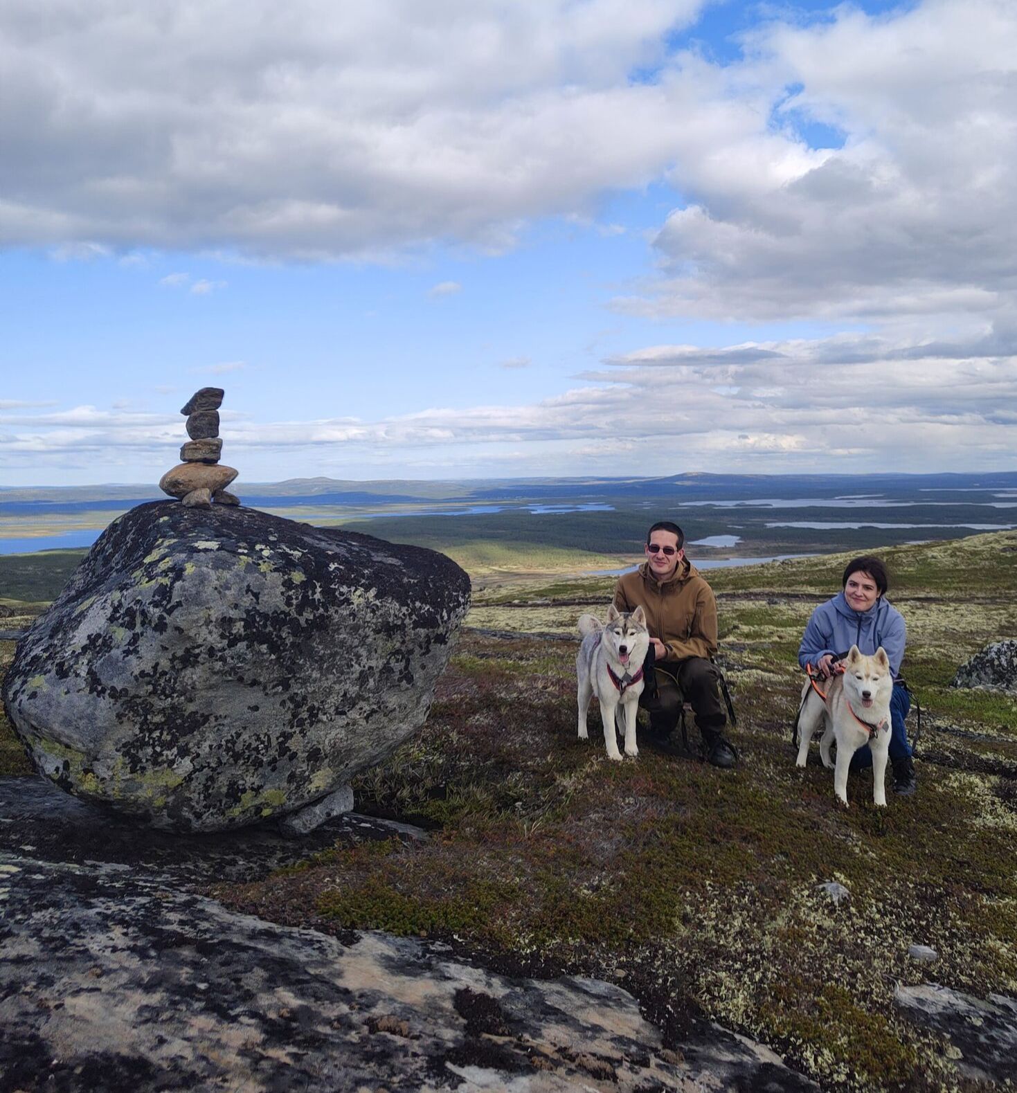 Природа тундры