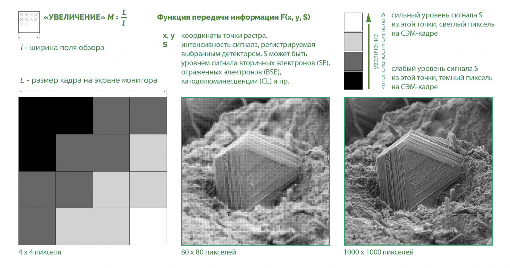 ИНСКАН - Что такое растровый электронный микроскоп?