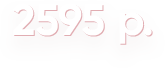 2595