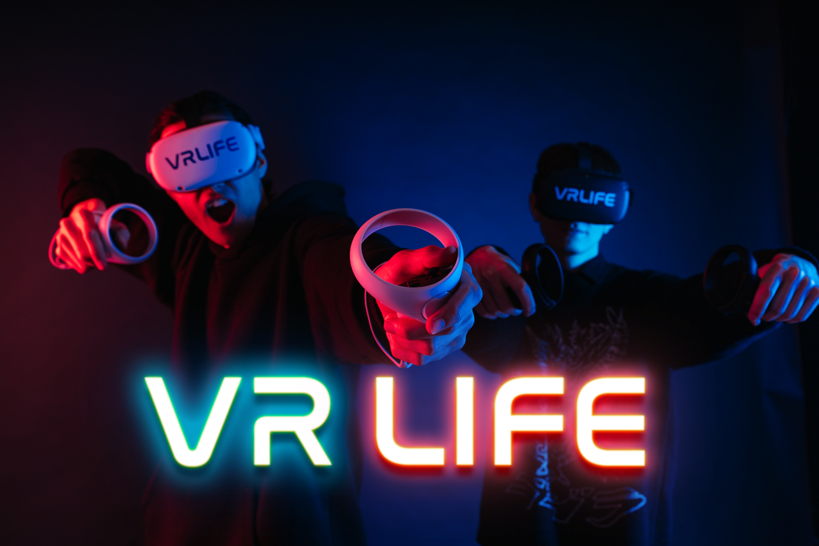 Vr life