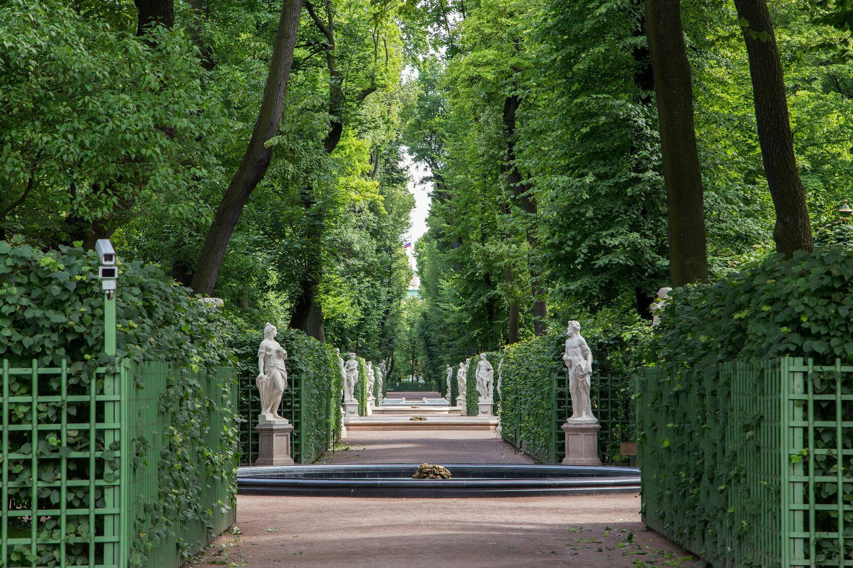 Парки санкт петербурга фото. Летний сад сад Санкт-Петербург. Парк летний сад в Санкт-Петербурге. Аллеи летнего сада в Санкт-Петербурге. Летний сад Питер.