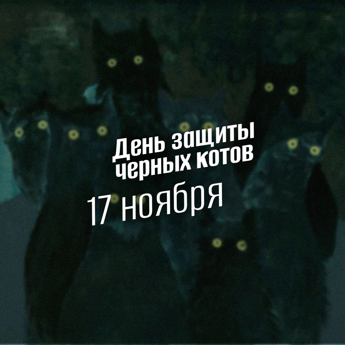 17 ноября День защиты черных котов