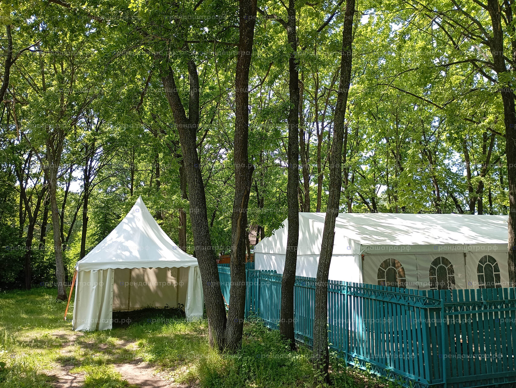 VIP Зона на Сабантуе в Нижнекамске в Казани, фото&nbsp;3