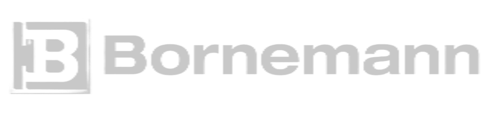 поставки из китая в россию bornemann