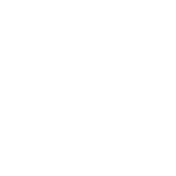 Портретная экспертиза