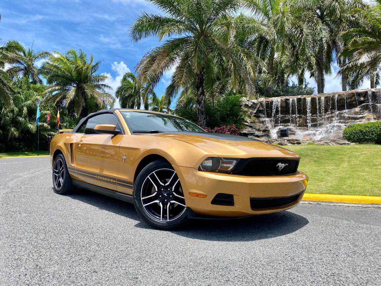 Vavada tragamonedas de Mustang Gold