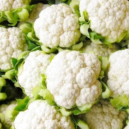 Seeds of Cauliflower Igloo (white) (Brassica oleracea L. var. botrytis L.) — 30 pcs