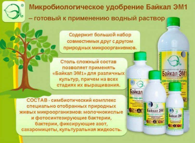Купить В Интернет Магазине Препараты Для Цветов