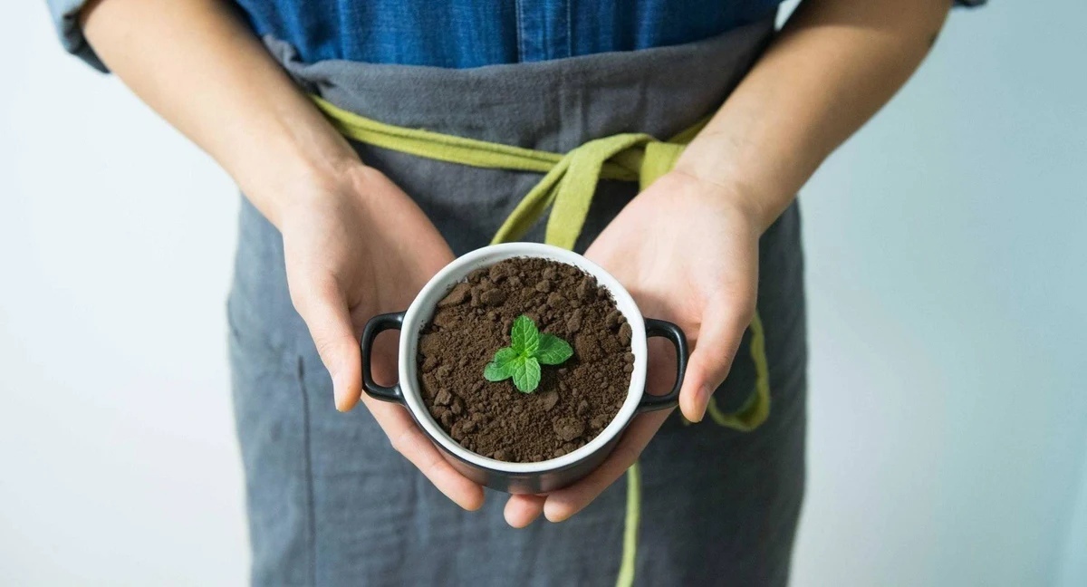 How Can You Reuse Coffee Grounds