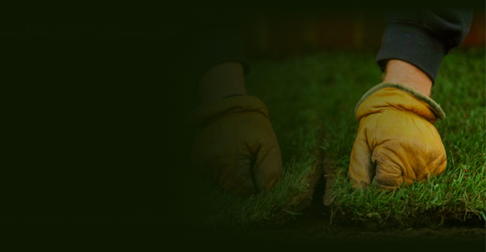 Рулонный газон