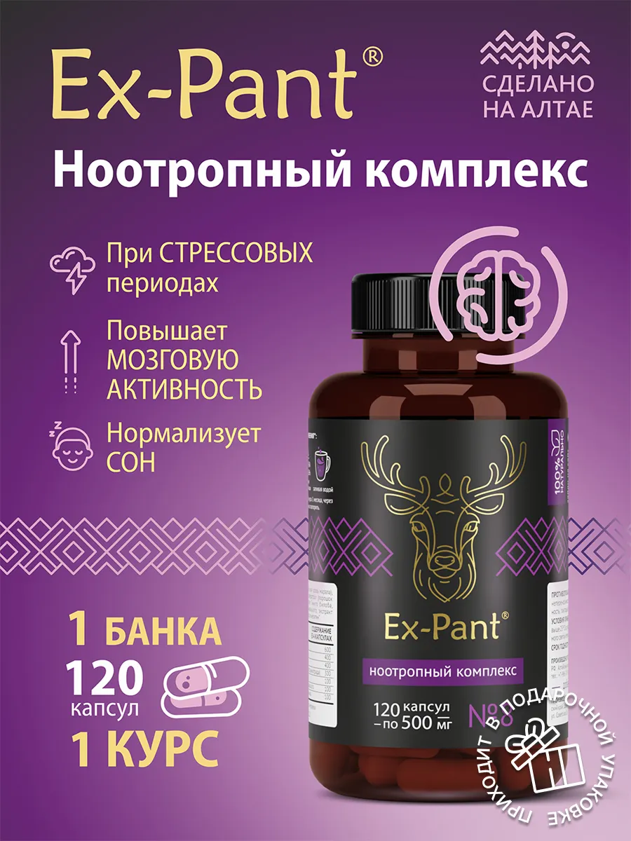 Ноотропный комплекс Ex-Pant с ежовиком гребенчатым 120 капсул
