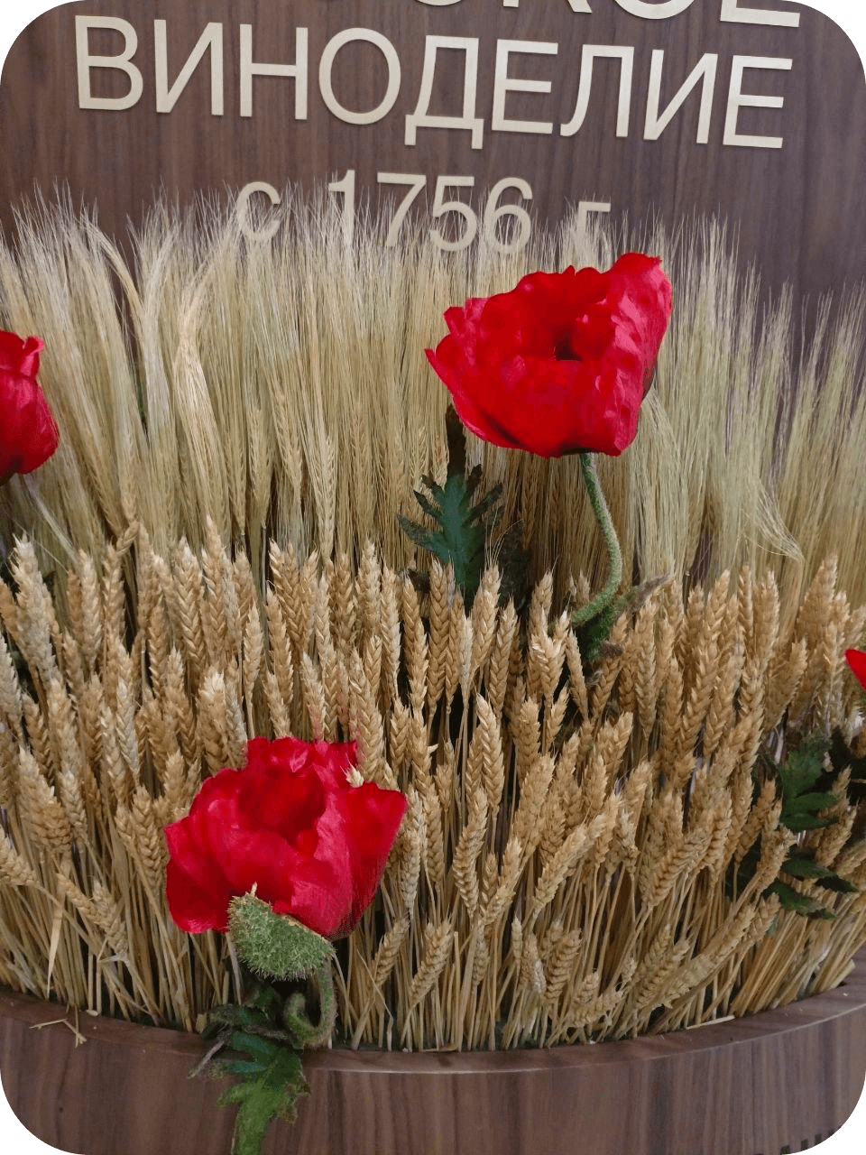 Брендовая инсталляция из колосьев для съёмки