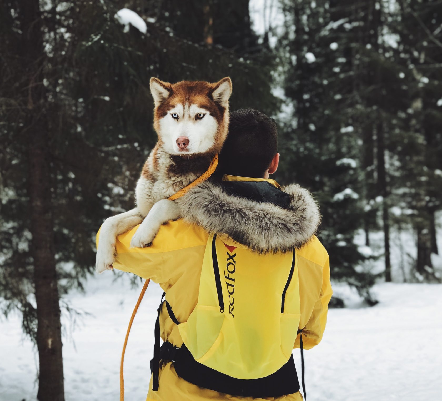 Хаски отдых нижний новгород. Хаски МОА. Husky MOA Карелия. Виктор Симонов хаски. Хаски тур.