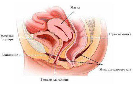 Зуд и жжение во влагалище: причины, симптомы и лечение