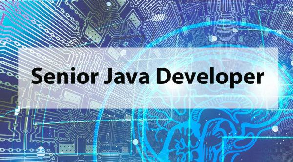 senior java developer