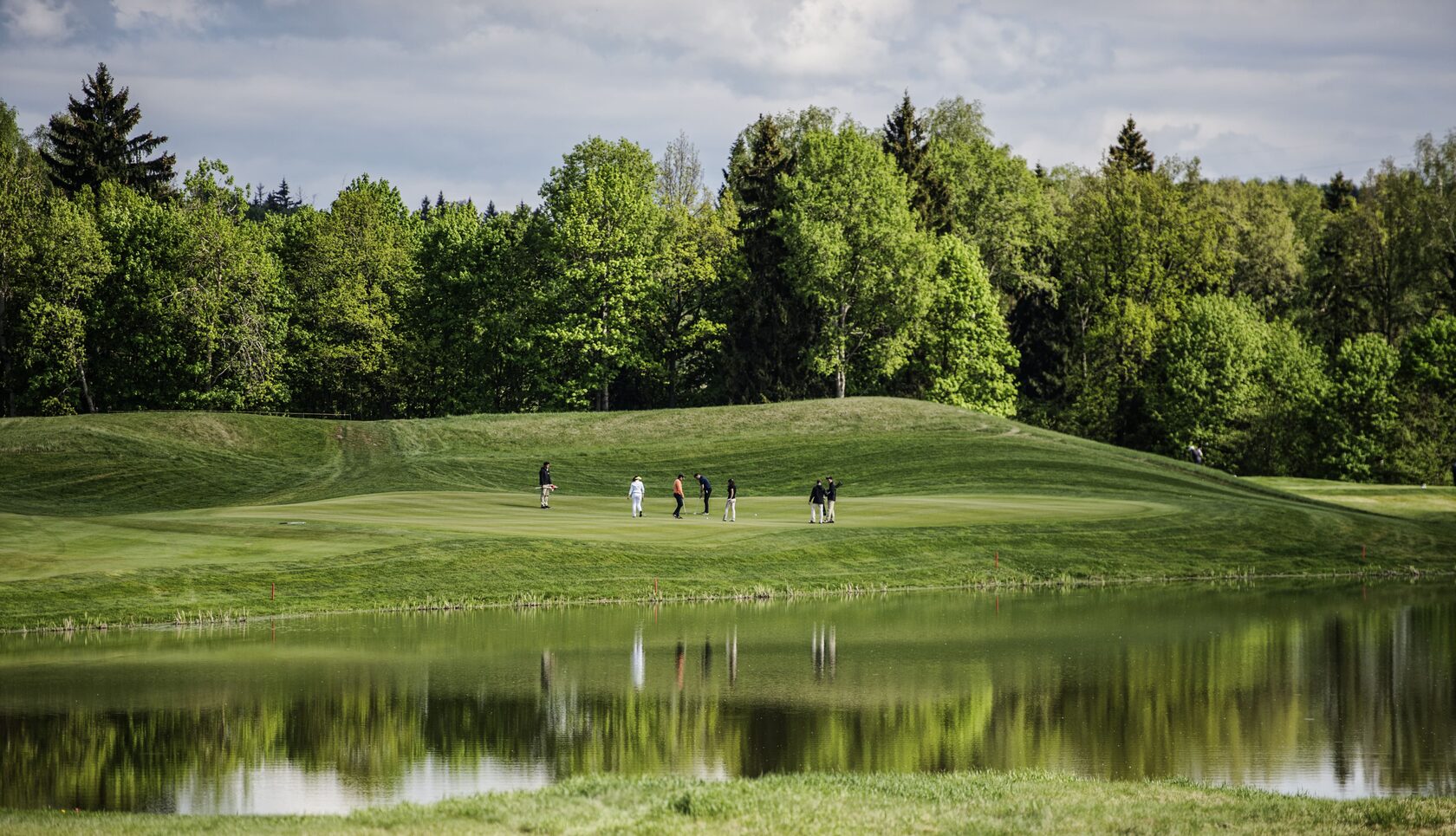 Форест хиллс гольф клуб. Форест Хиллс гольф. Forest Hills Golf Club.