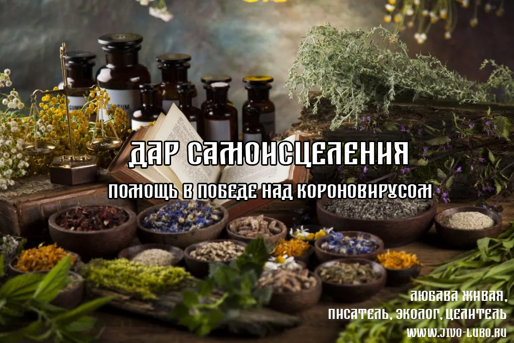 Победа над вирусом. Народная медицина. Победа над болезнями. Человек выбрасывает костыли. Книга александр мясников.