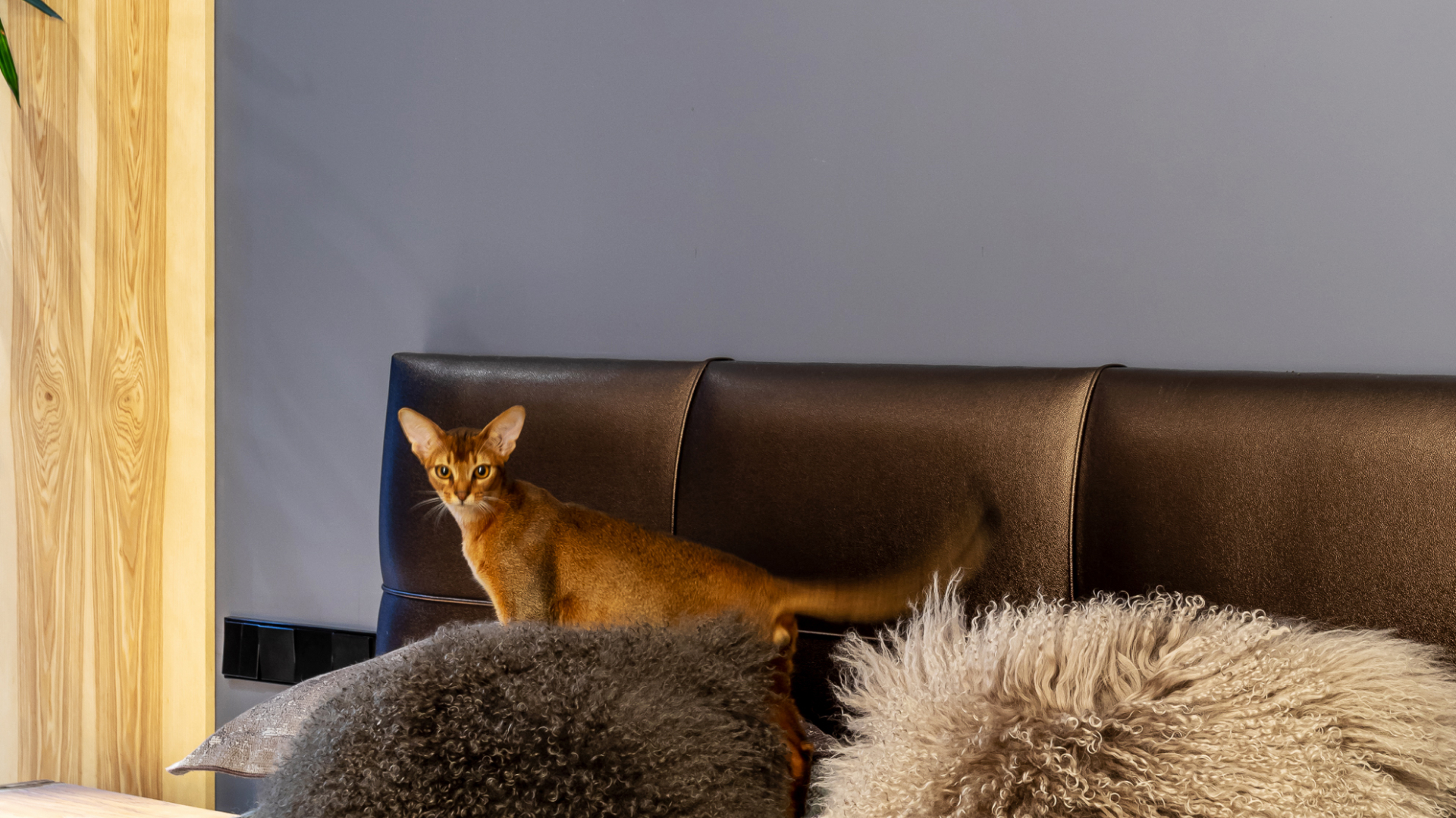 Тут можно подписать каждую картинку