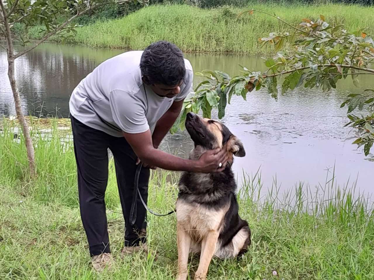 VONFIDEL K9 trainer handling a German Shepherd during temperament assessment in Sri Lanka