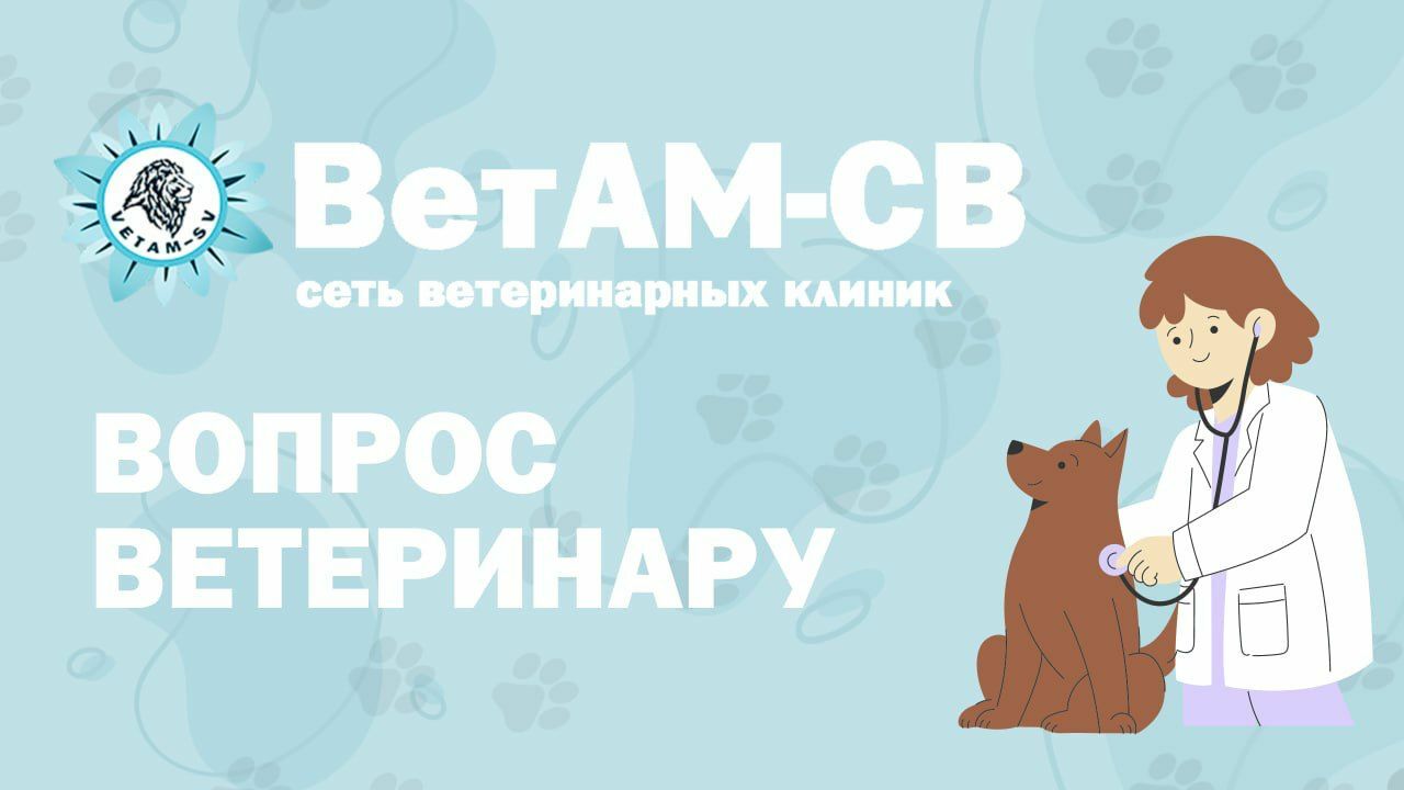 Ветеринарная клиника ВетАМ-СВ.