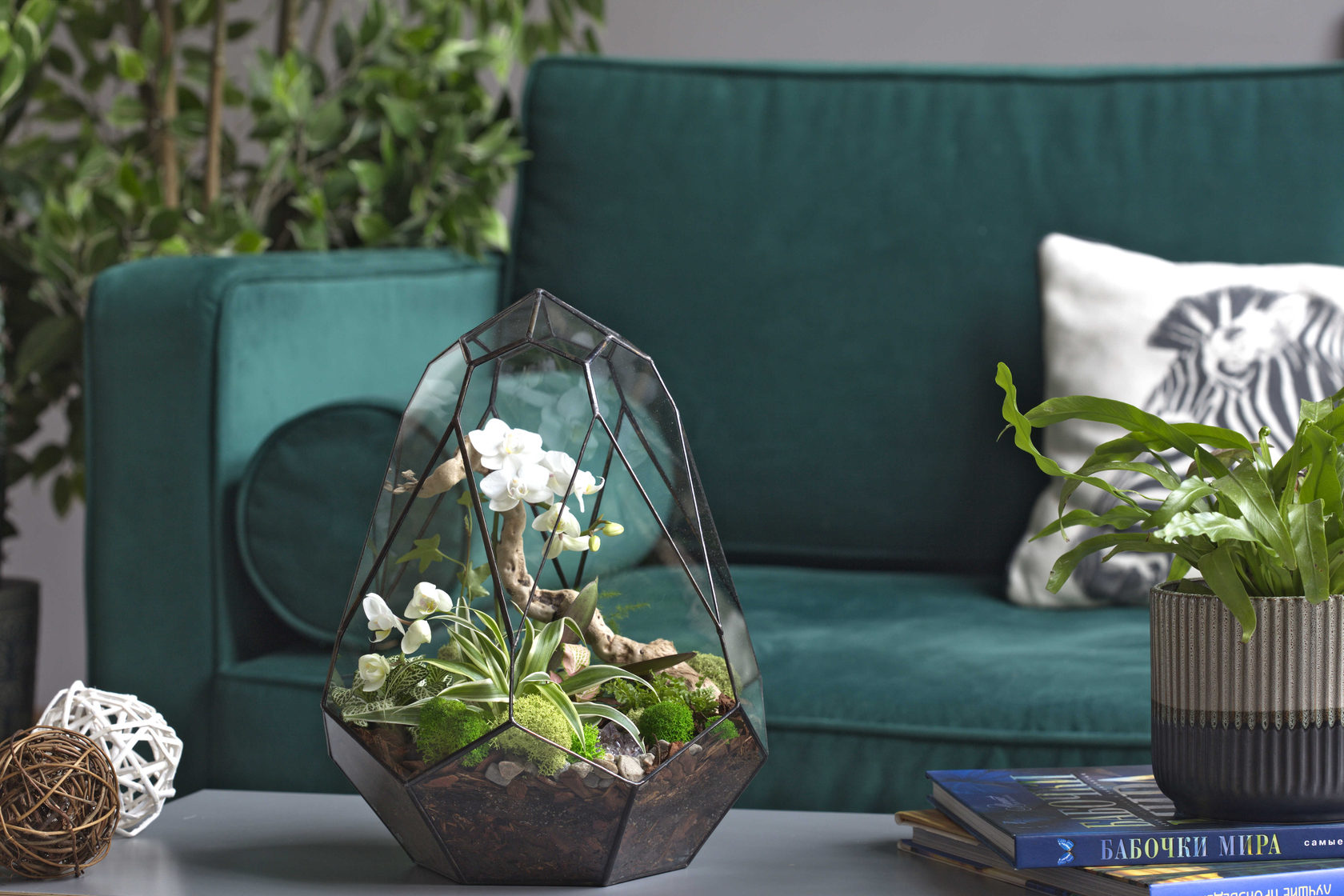 Готовые флорариумы с суккулентами, орхидеями, бонсай.