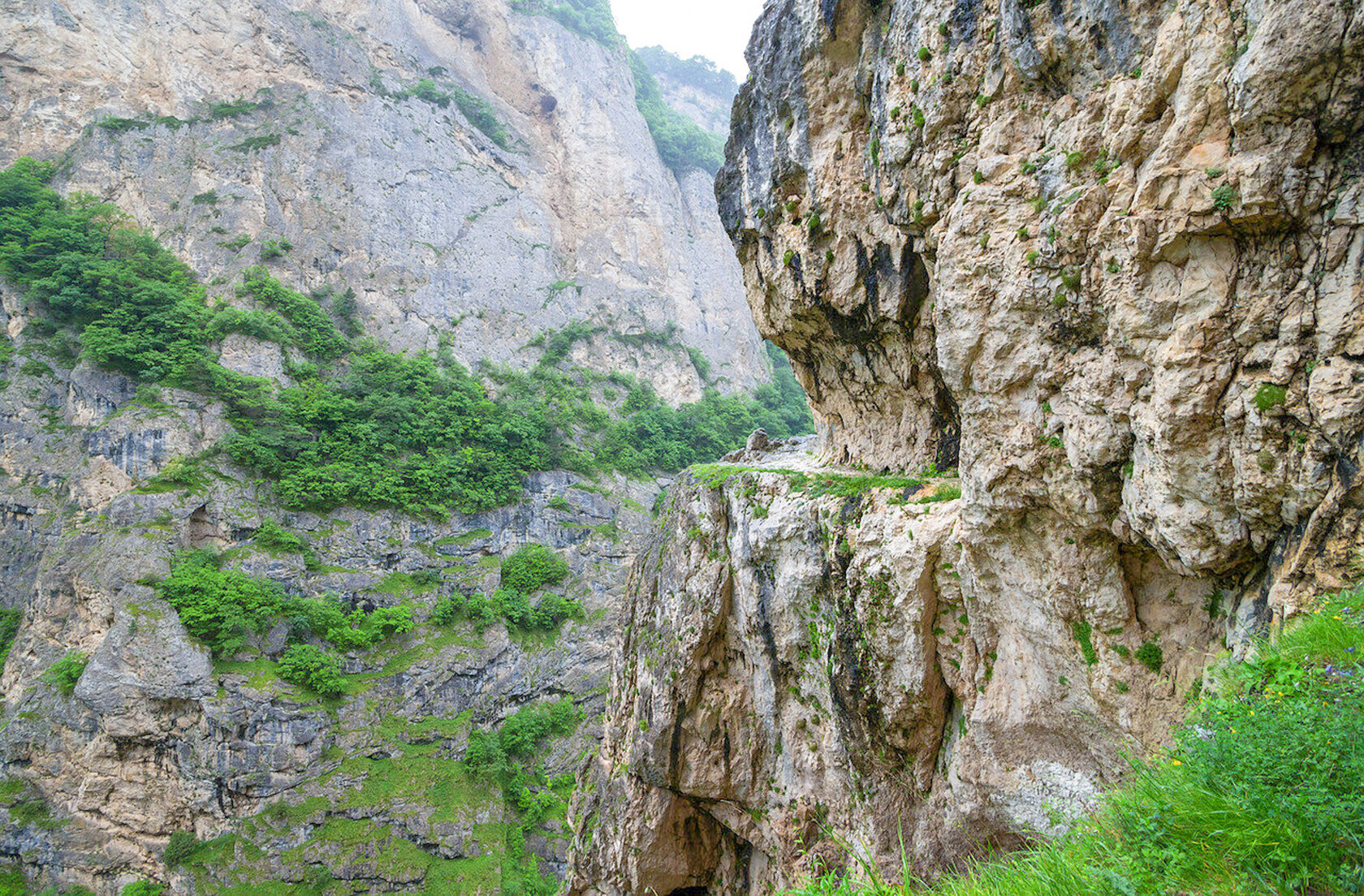 Черекское ущелье кабардино балкария фото