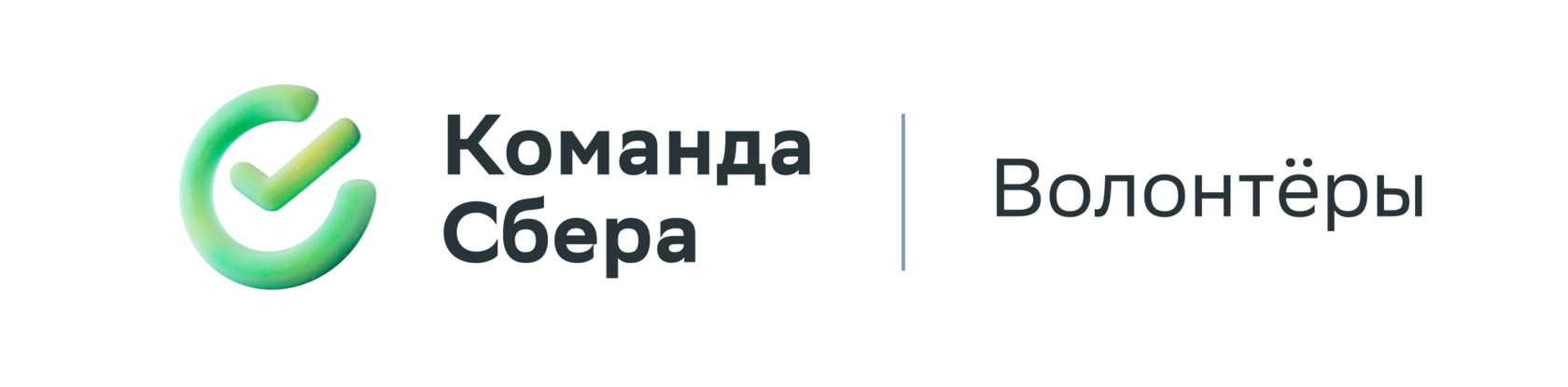 Волонтёры Сбербанка