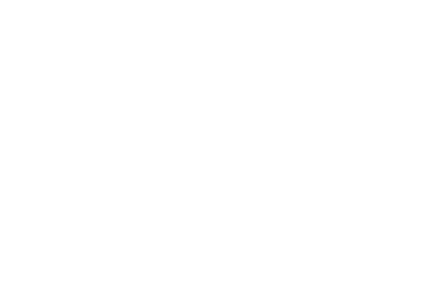 Орбита