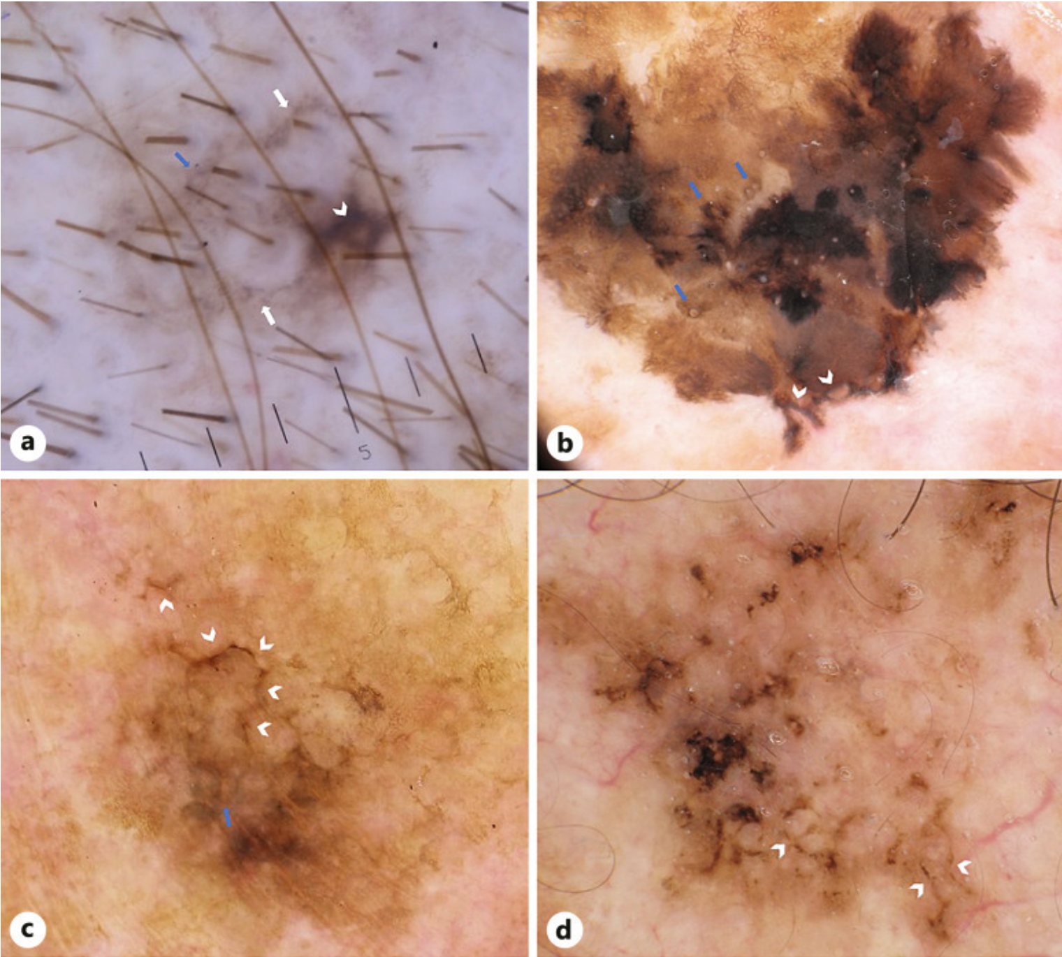dermatology-online.ru