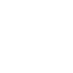 website icon