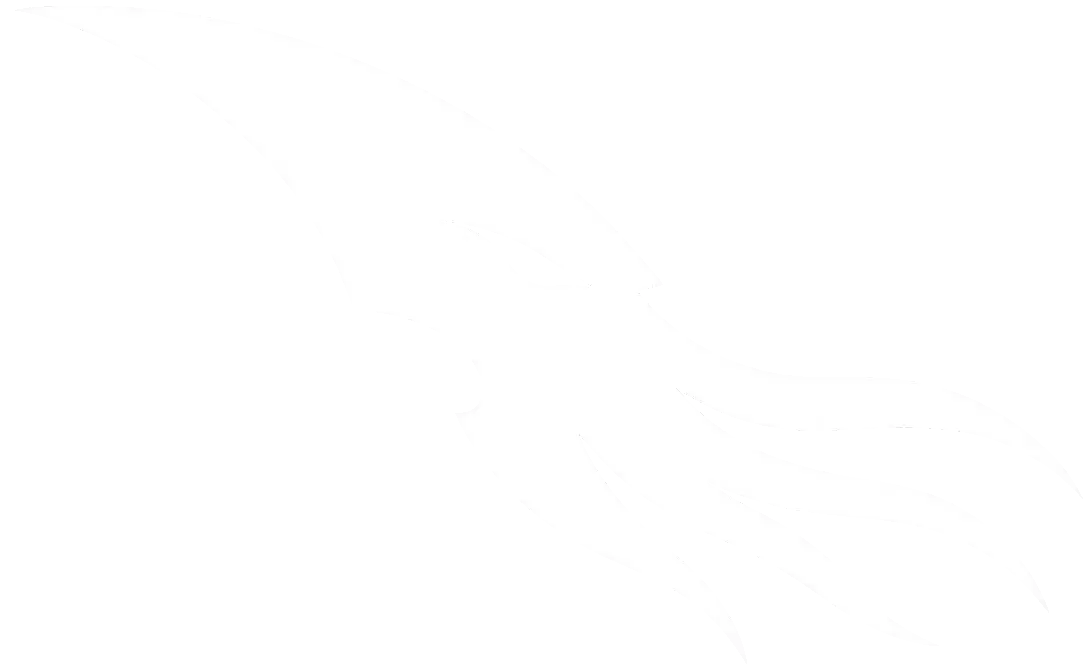 Kraken Store