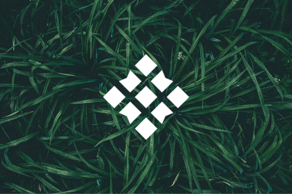 Nature-inspired geometric logo — eco brand identity and logo design by Leragraphics