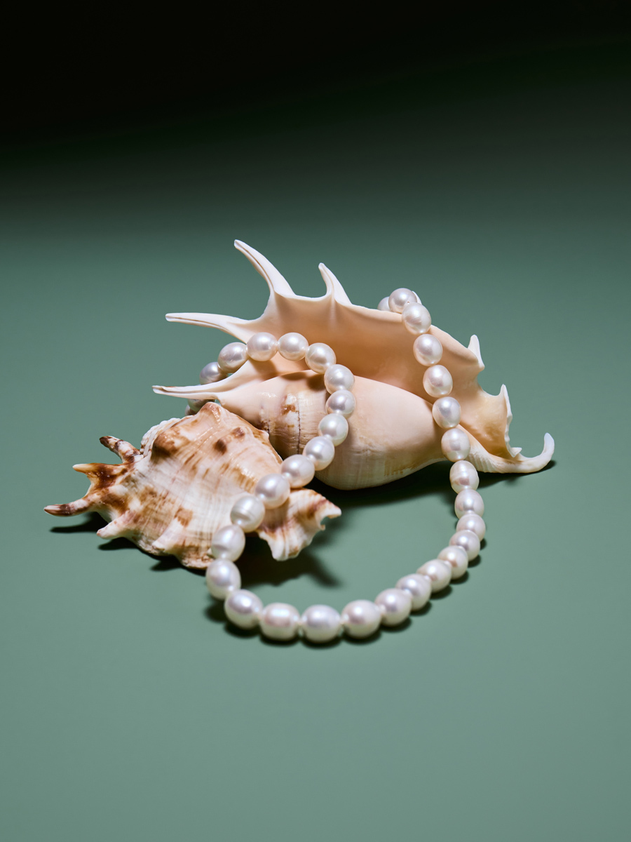 тематическая съемка украшений бусы на ракушке