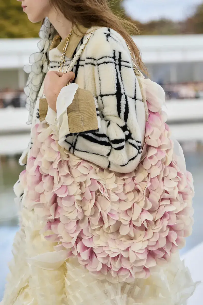 Сумки Dior Spring 2027 36
