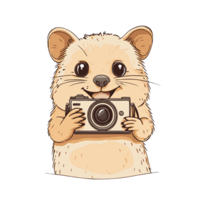 website icon
