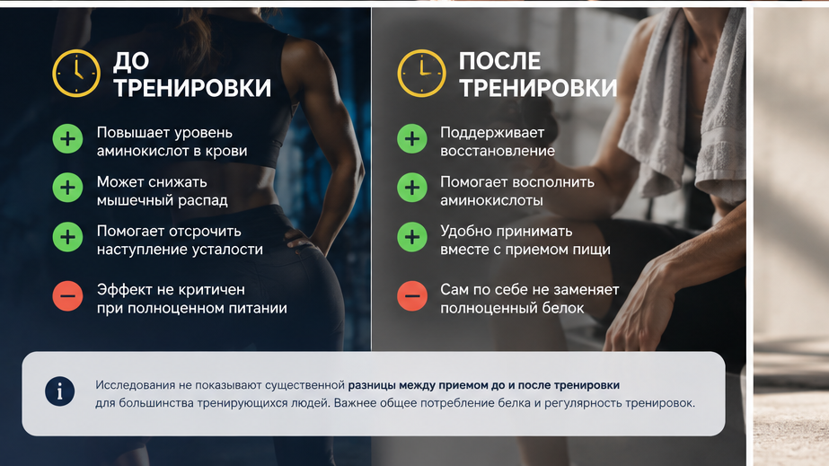 Инфографика: сравнение приема BCAA до и после тренировки