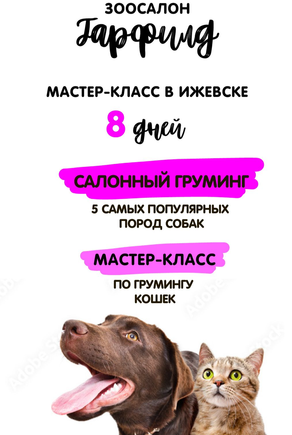 Грумер ижевск. Груминг собак ижевск. груминг кошек ижевск. груминг мандарин ижевск.