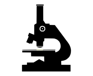 website icon