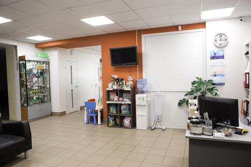 Фото | Ветеринарная клиника Фауна | Тверь